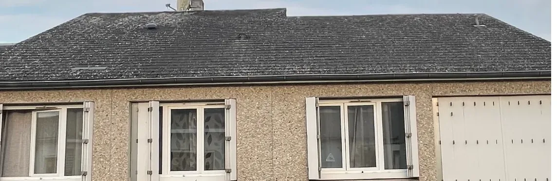 La même toiture à Angers avant le nettoyage, couverte de lichens