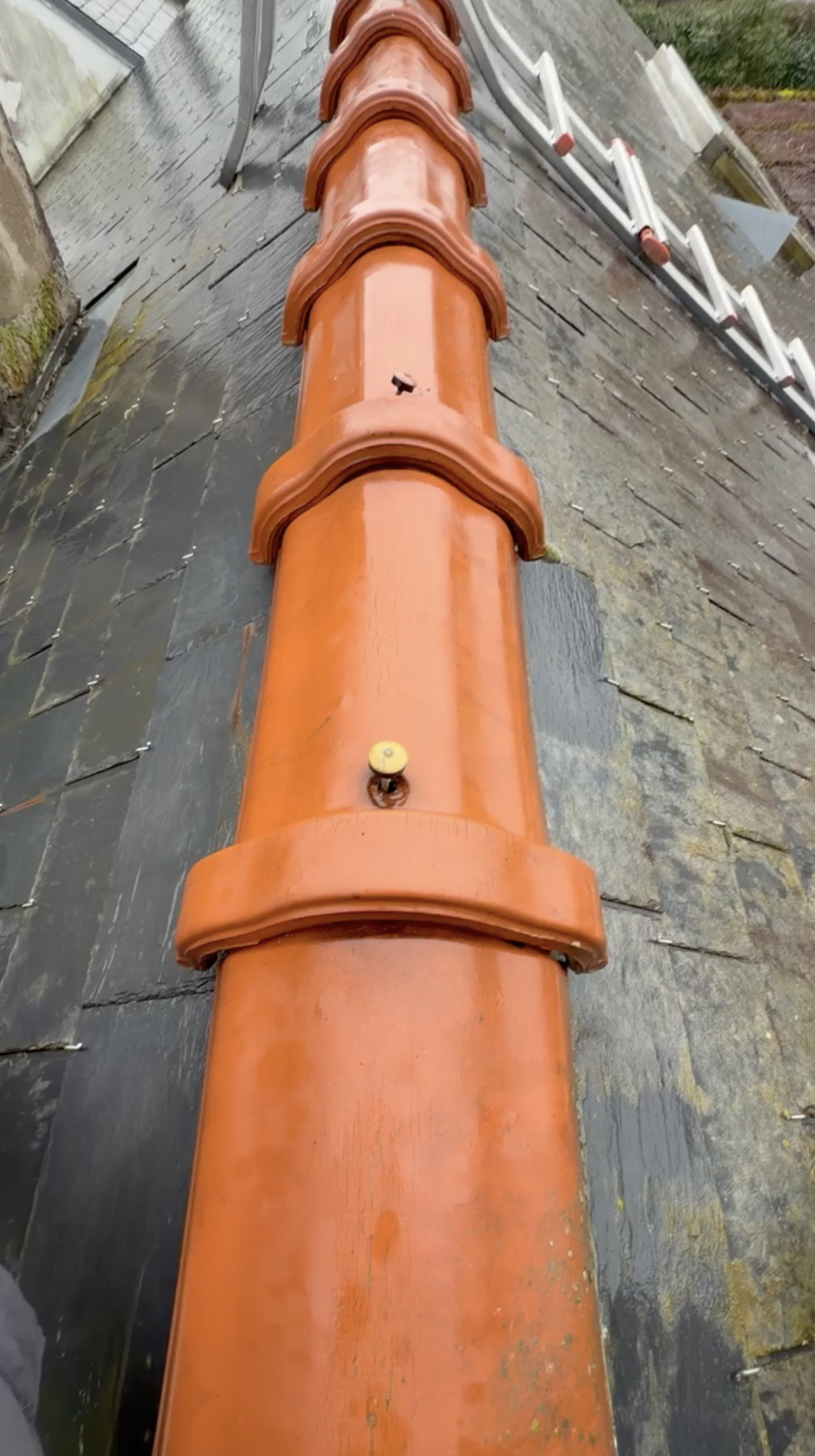 Infiltration d'eau toiture Angers